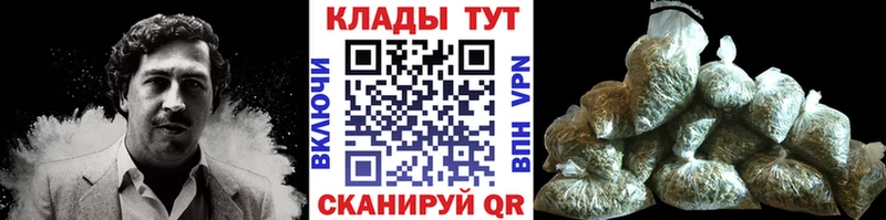 Виды наркоты Стародуб Codein  COCAIN  Меф мяу мяу  Гашиш  Альфа ПВП  Амфетамин 