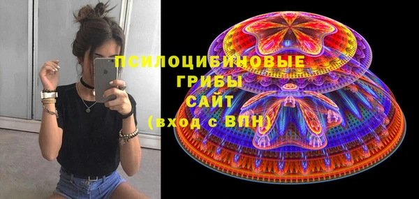 MESCALINE Аркадак