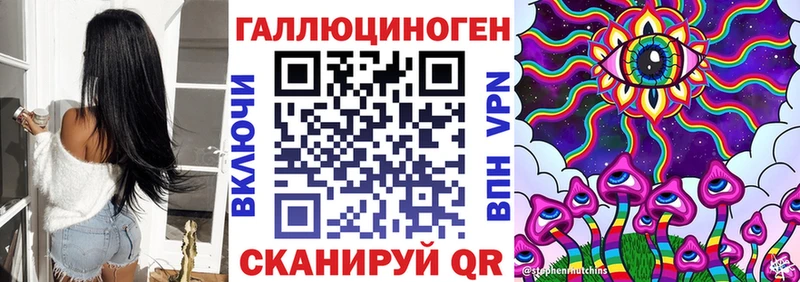 как найти закладки  Стародуб  Галлюциногенные грибы Psilocybe 